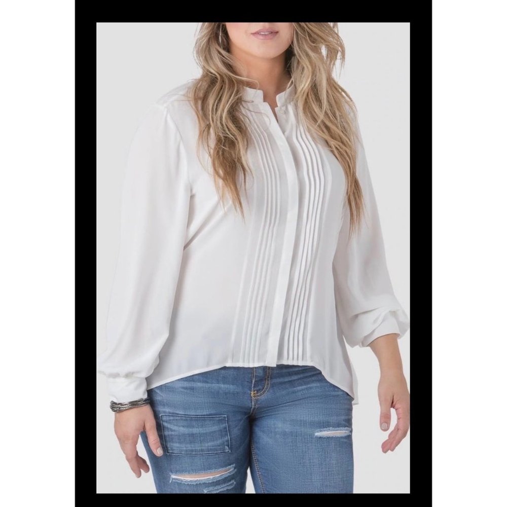 Standards and Practices Plus Size Cinch Waist Blouse